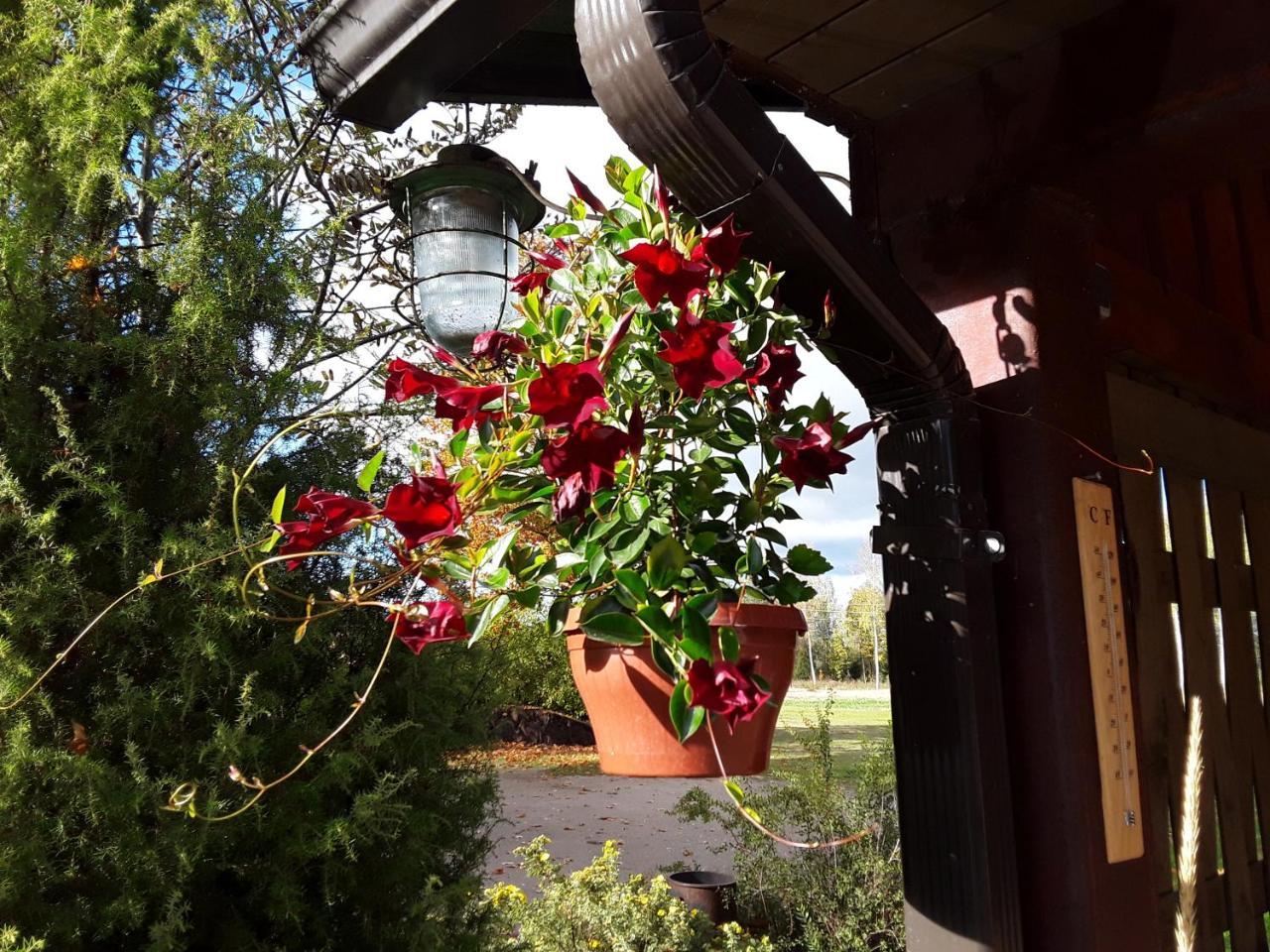 Brivdienu Maja Melderi Casa de hóspedes Ape Exterior foto